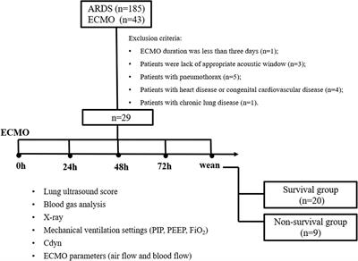 Lung Ultrasound in Pediatric Acute Respiratory Distress Syndrome Received Extracorporeal Membrane Oxygenation: A Prospective Cohort Study